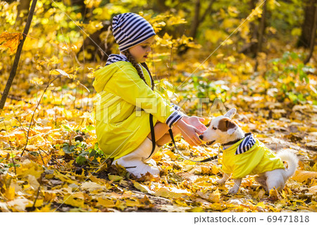Child plays with Jack Russell Terrier in autumn forest. Autumn walk with a dog, children and pet concept. Child plays with Jack Russell Terrier in autumn forest. Autumn walk with a dog, children and pet concept. 69471818