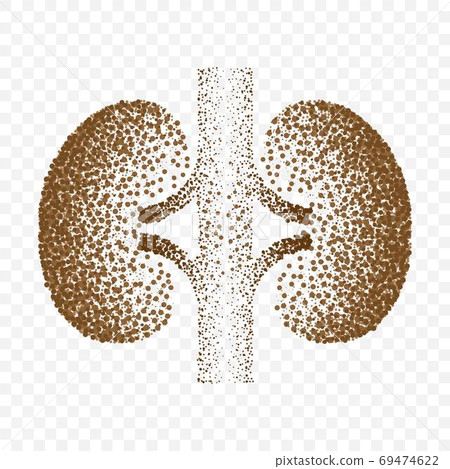 Human kidneys dotted silhouette background Human kidneys dotted silhouette background 69474622