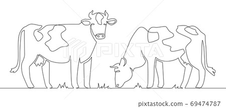 One line cows. Milk cow animal, livestock and beef meat and calf farm continuous line artwork vector concept 69474787