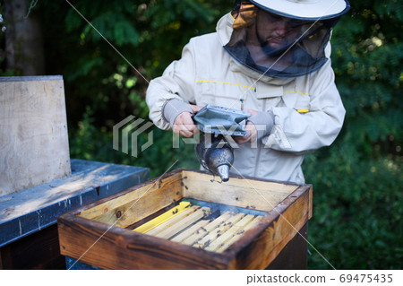 Portrait of man beekeeper working in apiary, using bee smoker. Portrait of man beekeeper working in apiary, using bee smoker. 69475435