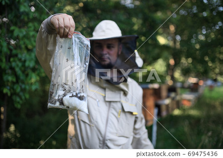 Portrait of man beekeeper working in apiary. Portrait of man beekeeper working in apiary. 69475436