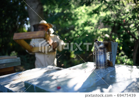 Man beekeeper working in apiary, small business concept. Man beekeeper working in apiary, small business concept. 69475439