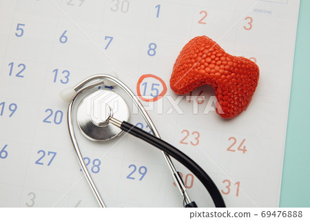 Thyroid gland near the stethoscope on calendar. Health care, diagnostics, medical testing, treatment and prevention of diseases concept Thyroid gland near the stethoscope on calendar. Health care, diagnostics, medical testing, treatment and prevention of diseases concept 69476888