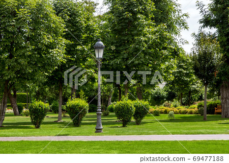 leisure park with a walkway with a lamppost with a lantern in retro style in a garden with trees and different plants, summer eco friendly background. 69477188