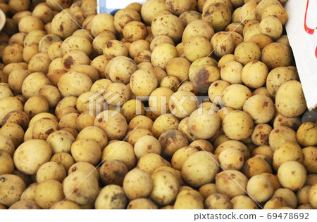 Sweet Langsat fruit or scientific name is Lansium parasiticum. Original from South East Asia. Sweet Langsat fruit or scientific name is Lansium parasiticum. Original from South East Asia. 69478692