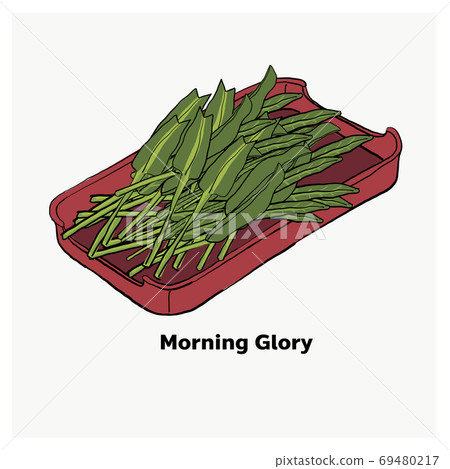 'Morning glory'/ water spinach on red plate,vegetable for Japane 'Morning glory'/ water spinach on red plate,vegetable for Japane 69480217