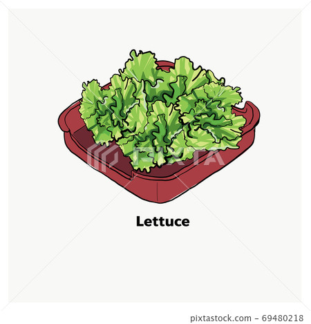 Lettuce on red plate,for Japanese grill, korean grill, thai pan 69480218