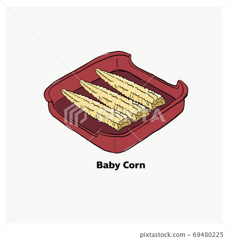 Baby corn Drawing illustration vector. bbq grill. Hot pot ingred 69480225