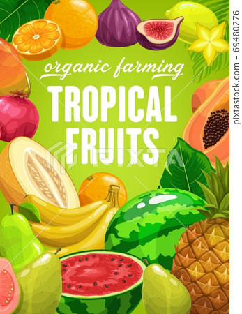 Tropical fruits vector farming cartoon poster 69480276