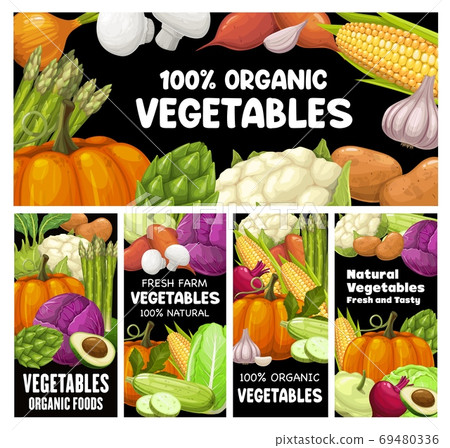 Vegetables vector banners farm organic raw veggies - Stock Illustration ...