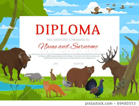 Diploma certificate, school education award 69480353