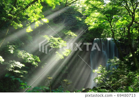 Kameda不動的瀑佈在夏天 69480713