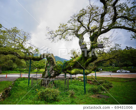 韓國全羅南道靈巖郡靈巖邑天皇城路Wolchulsan Dogapsa寺 韓國全羅南道靈巖郡靈巖邑天皇城路Wolchulsan Dogapsa寺 69481006