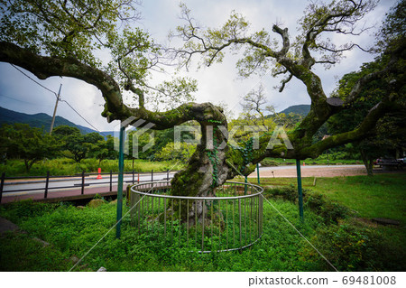Wolchulsan Dogapsa Temple, Cheonhwangsa-ro, Yeongam-eup, Yeongam-gun, Jeollanam-do, Korea 69481008