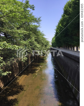 東京的樹木和河流景觀 東京的樹木和河流景觀 69481995