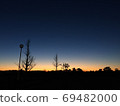 Trees floating in the deep sunrise 69482000