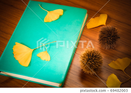 Ginkgo and notebook diary autumn image 69482003