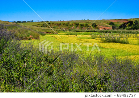 Rice terraces when moving from Antananarivo, the capital of Madagascar, to Morondava, where baobab trees are located Rice terraces when moving from Antananarivo, the capital of Madagascar, to Morondava, where baobab trees are located 69482757