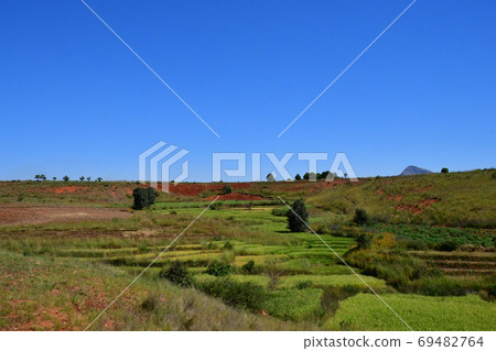 從馬達加斯加首都安塔納·納里博（Antana Naribo）乘公共汽車旅行到那裡有猴麵包樹的莫倫達巴（Monondaba）時，塔納達（Tanada）的風景 69482764
