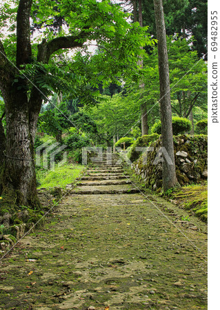 Ichijodani Asakura Ruins-Summer 69482955