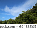 藍天和森林 69483505