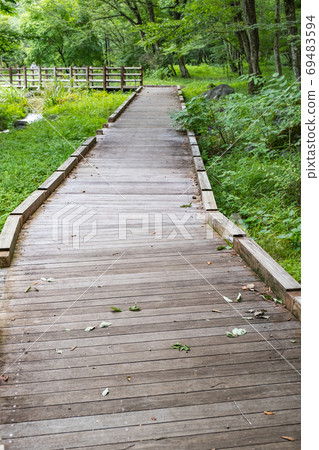 在公園的木路 69483594