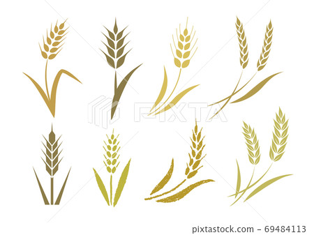 Wheat various icon set 69484113