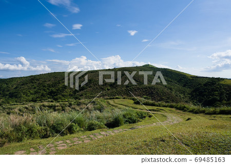 擎天崗的步道 69485163