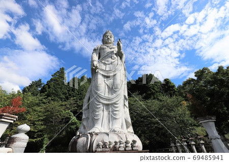 Tsubosakadera 69485941