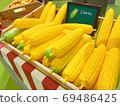 Artificial yellow corns. 69486425