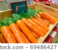 Artificial orange carrot. 69486427