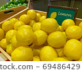 Artificial yellow lemons. 69486429