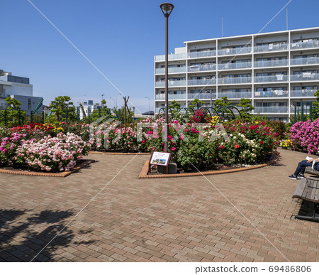 Hiroo Disaster Prevention Park (Ichikawa City) Flower Square (Rose Garden) Hiroo Disaster Prevention Park (Ichikawa City) Flower Square (Rose Garden) 69486806
