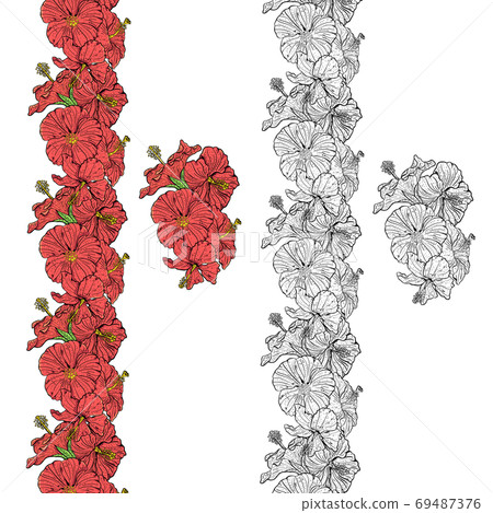 Border of hibiscus flowers in vector Border of hibiscus flowers in vector 69487376