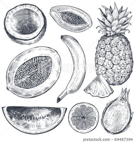 Set of hand drawn fresh fruits in sketch style. Black and white vector collection. Set of hand drawn fresh fruits in sketch style. Black and white vector collection. 69487394