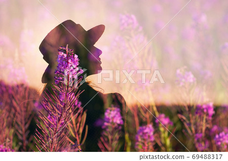 Woman in hat silhouette on blooming Sally summer flower field Woman in hat silhouette on blooming Sally summer flower field 69488317