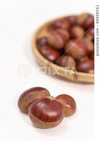 Chestnut copy space Chestnut copy space 69488561
