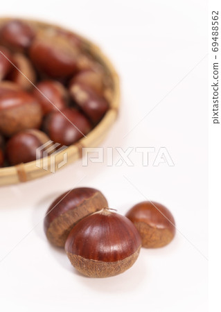 Chestnut copy space Chestnut copy space 69488562