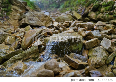 A mountain trail to Mt. Yakushi, which becomes swamped by rain A mountain trail to Mt. Yakushi, which becomes swamped by rain 69488720