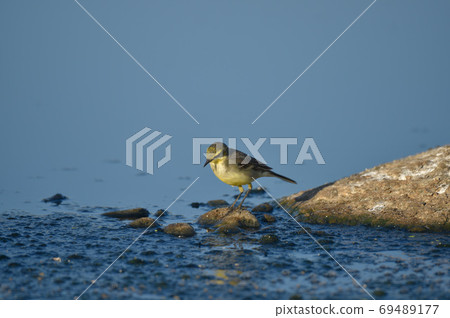 一艘小船,一隻可愛的小鳥,有川河。 一艘小船,一隻可愛的小鳥,有川河。 69489177