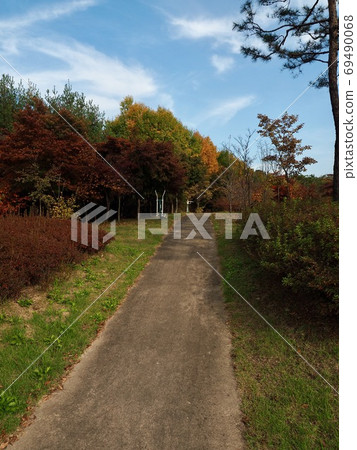 Autumn maple tree scenery in Korea Autumn maple tree scenery in Korea 69490068