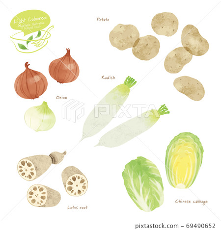 Hand-drawn illustration of light-colored vegetables Hand-drawn illustration of light-colored vegetables 69490652