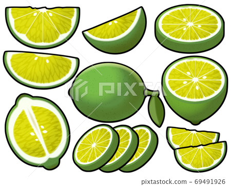 各種酸橙 各種酸橙 69491926