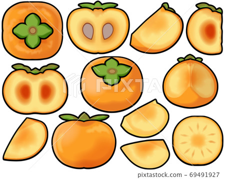各種柿子 69491927