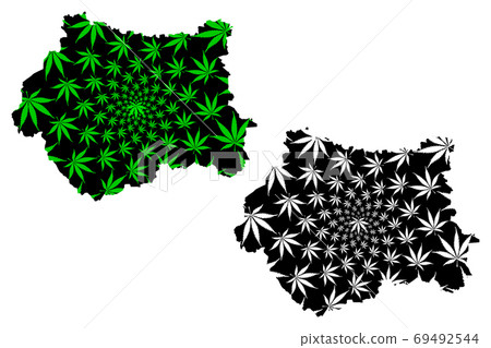 West Yorkshire (United Kingdom, England, Metropolitan county) map is designed cannabis leaf green and black, West Yorkshire map made of marijuana (marihuana,THC) foliage.... 69492544