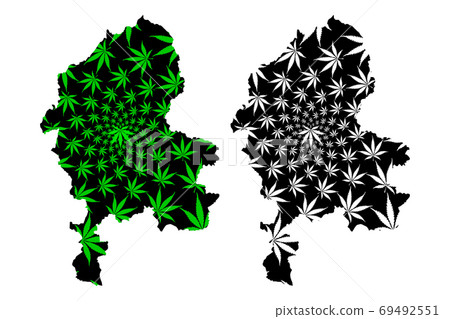 Staffordshire (United Kingdom, England, Non-metropolitan county, shire county) map is designed cannabis leaf green and black, Staffs. map made of marijuana (marihuana,THC) foliage.... 69492551