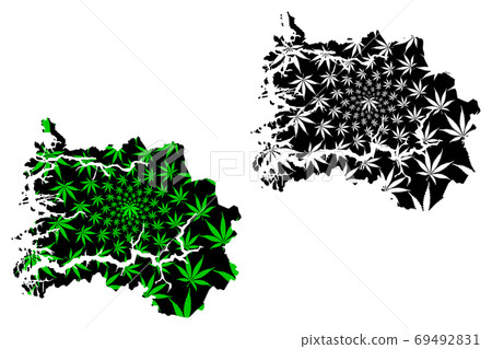 Sogn og Fjordane (Administrative divisions of Norway, Kingdom of Norway) map is designed cannabis leaf green and black, Sogn og Fjordane fylke map made of marijuana (marihuana,THC) foliage,.... Sogn og Fjordane (Administrative divisions of Norway, Kingdom of Norway) map is designed cannabis leaf green and black, Sogn og Fjordane fylke map made of marijuana (marihuana,THC) foliage,.... 69492831