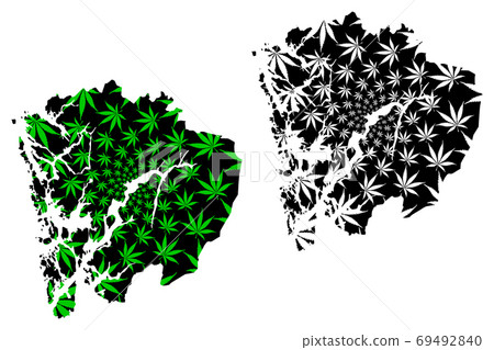 Hordaland (Administrative divisions of Norway, Kingdom of Norway) map is designed cannabis leaf green and black, Hordaland fylke map made of marijuana (marihuana,THC) foliage,.... 69492840