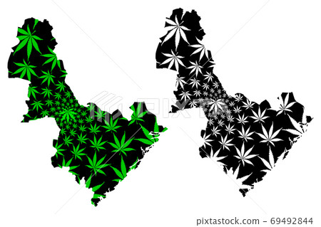 Aust-Agder (Administrative divisions of Norway, Kingdom of Norway) map is designed cannabis leaf green and black, Aust-Agder fylke map made of marijuana (marihuana,THC) foliage,.... 69492844