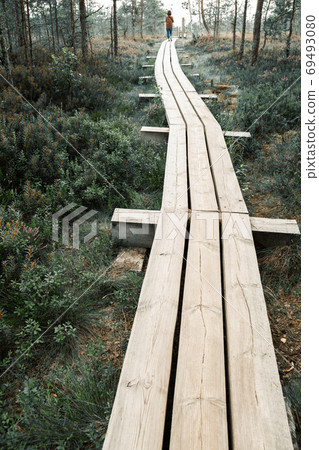 Kemeri National Park Bog trail road in Latvia Kemeri National Park Bog trail road in Latvia 69493080